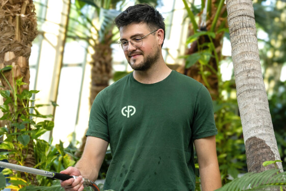 CPE Green